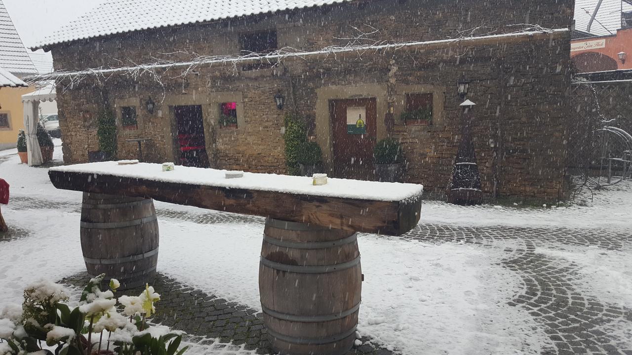 Der Patrizierhof - Weingut Gasthof Hotel - Familie Grebner Grosslangheim Экстерьер фото