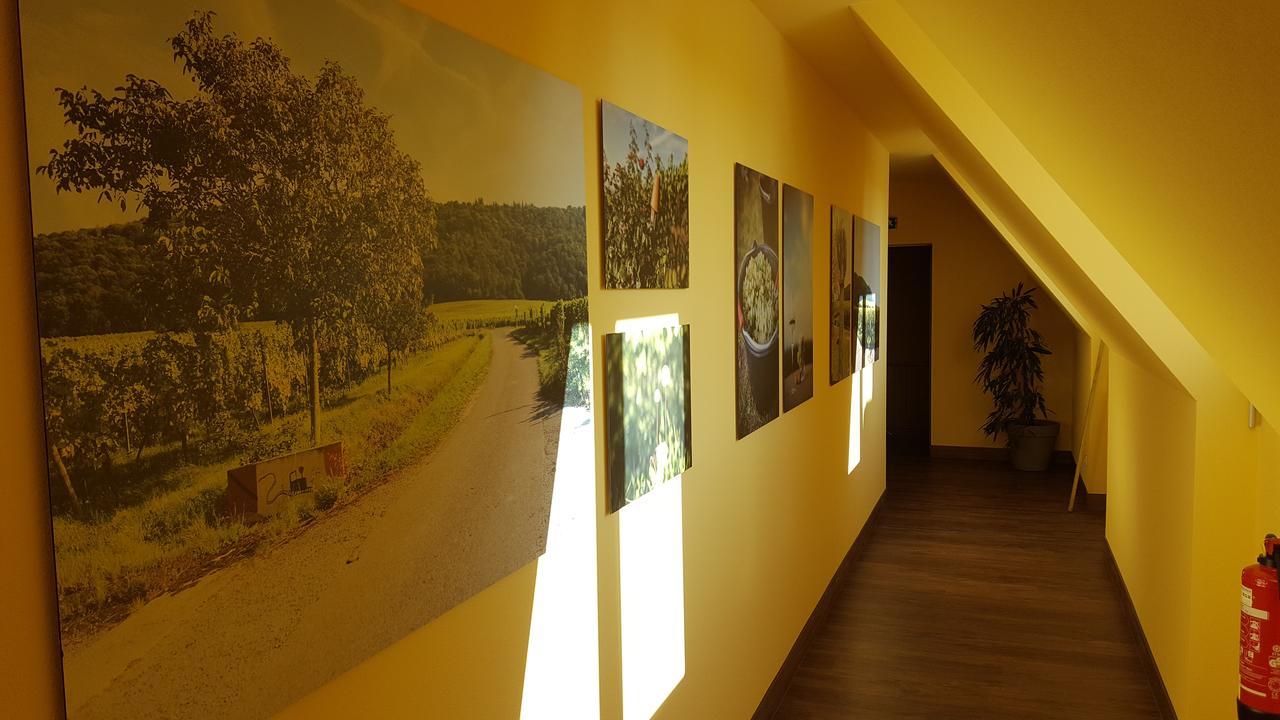 Der Patrizierhof - Weingut Gasthof Hotel - Familie Grebner Grosslangheim Экстерьер фото